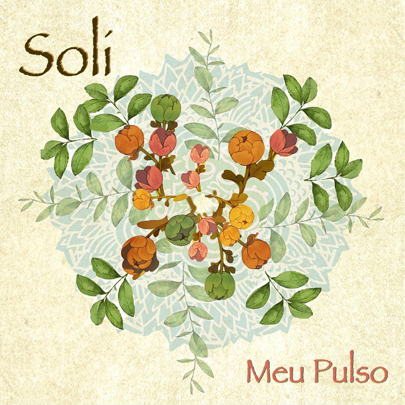 Meu Pulso