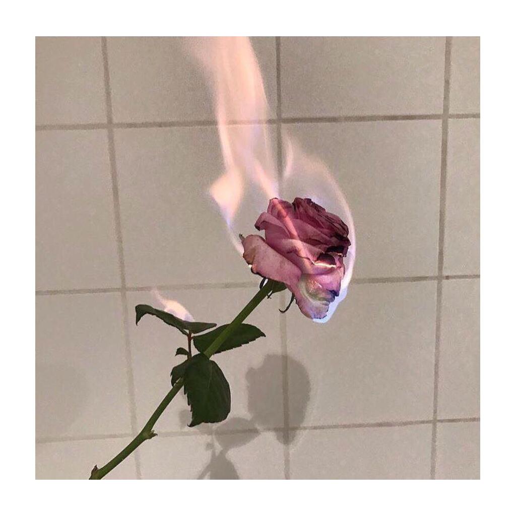 讓 更多 人 死於 心碎 . | 在线播放 | 网易云音乐