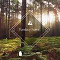 Fantasy Forest专辑