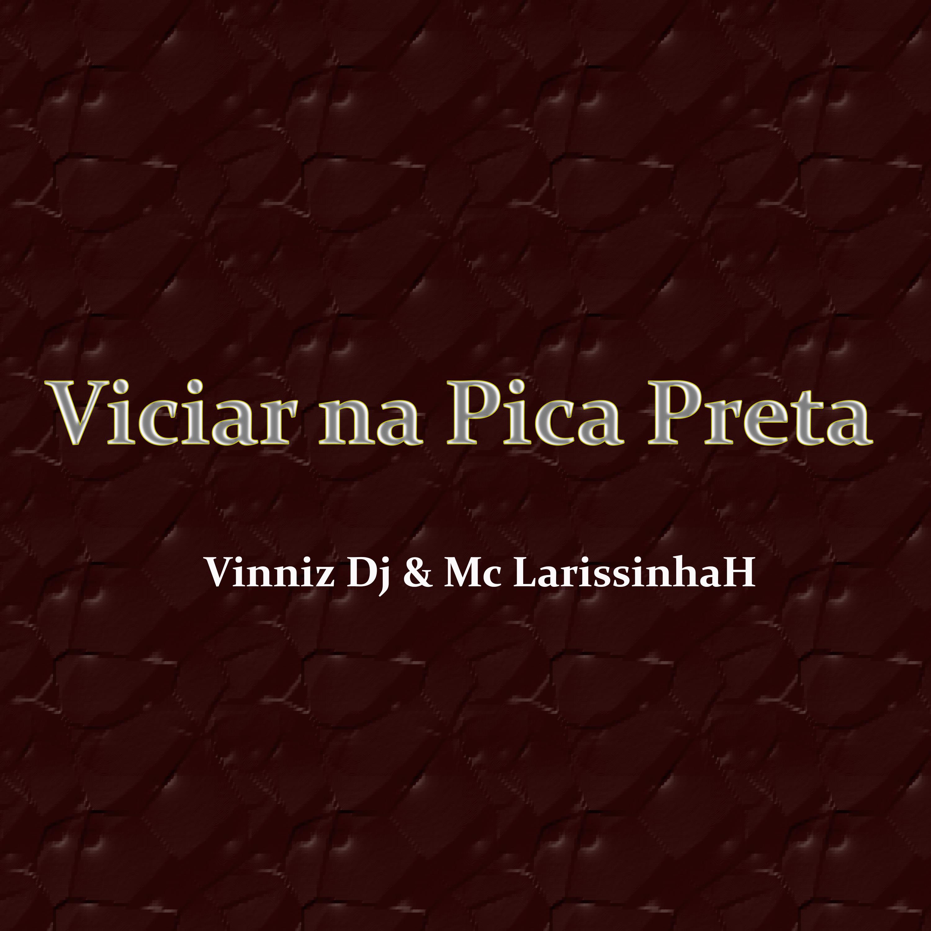Vinniz DJ - Viciar na Pica Preta