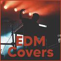 EDM Covers - Dance Covers 2020专辑