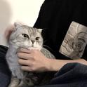 小孩会更好