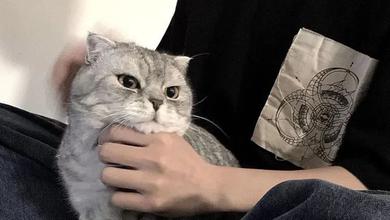 小孩会更好