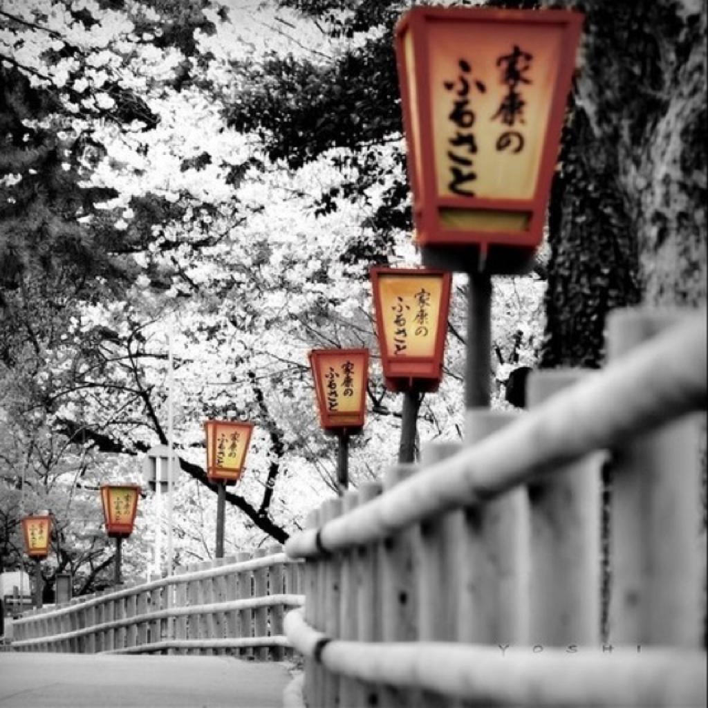 日本配乐大师集（二）