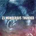 23 Wonderous Thunder专辑