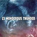 23 Wonderous Thunder专辑