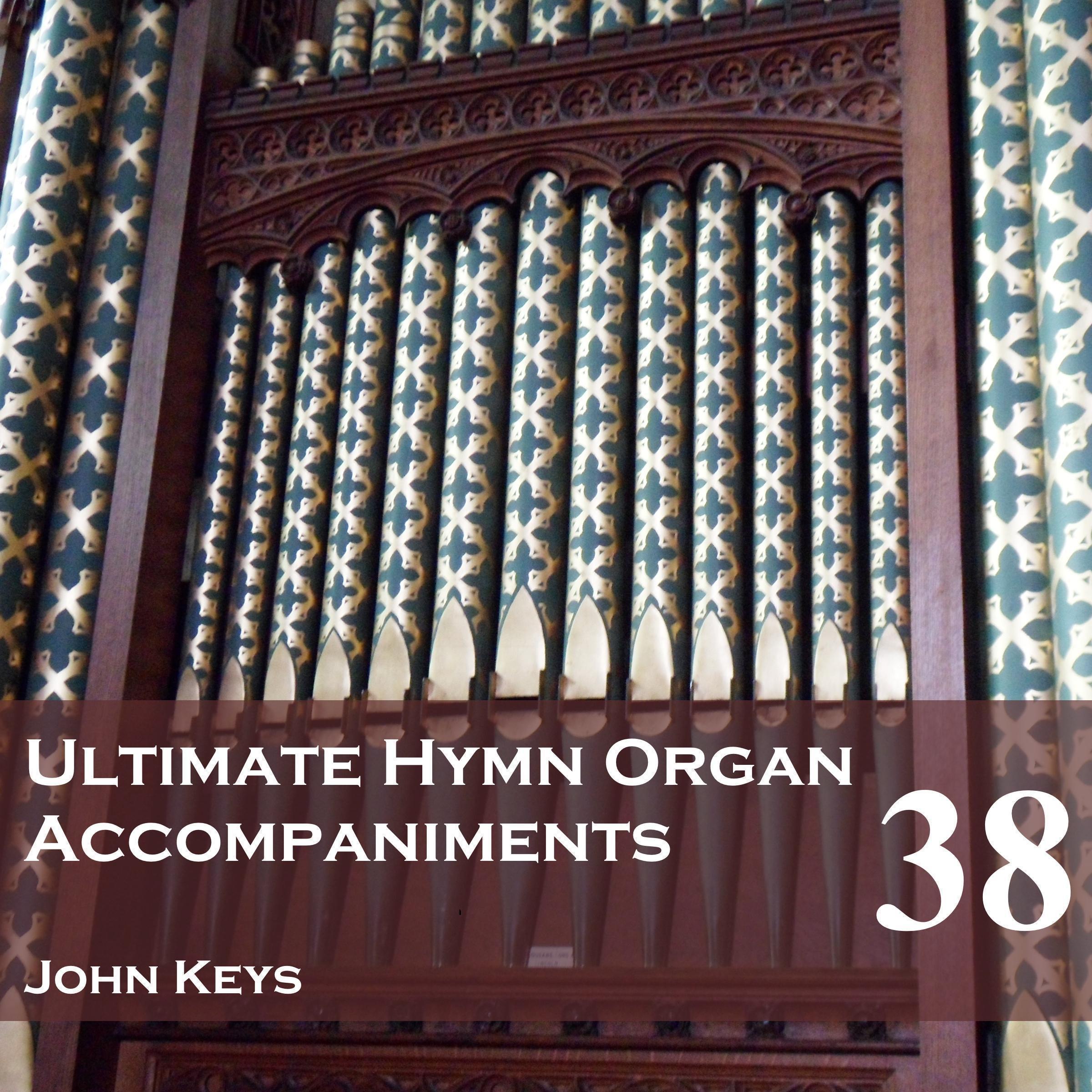 Ultimate Hymn Organ Accompaniments, Vol. 38