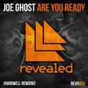 Are You Ready (Hardwell Rework)专辑