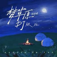 陈华耀 - 梦草原(DJ铁柱版)