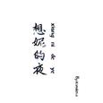 想妮的夜