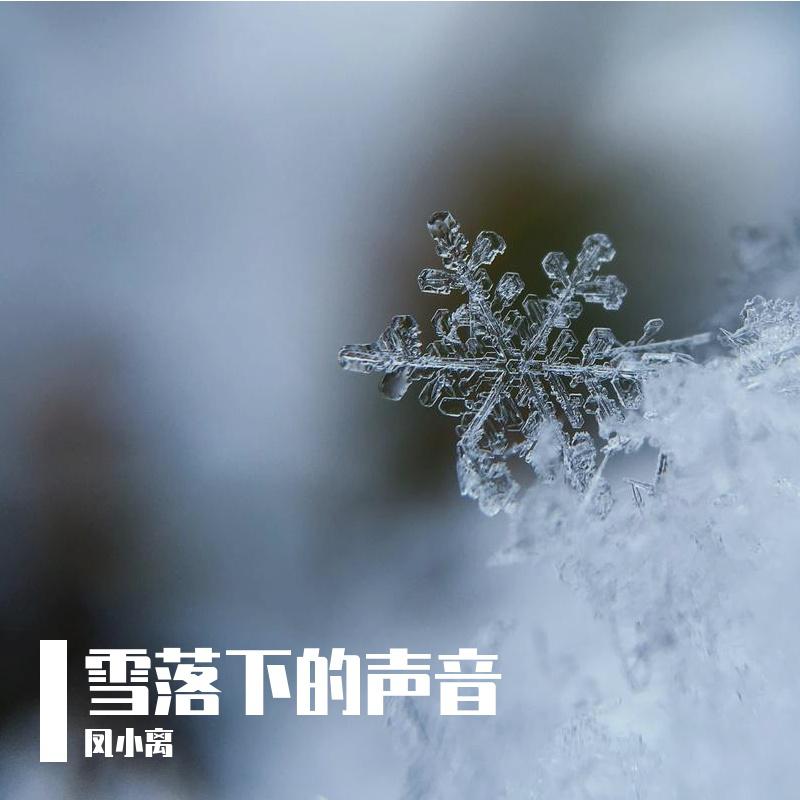 凤小离 - 雪落下的声音