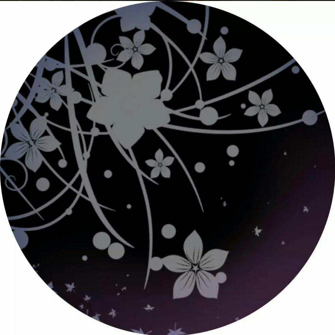a- pav大神