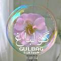 Gulbag