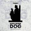 Tinny - Who Born Dog