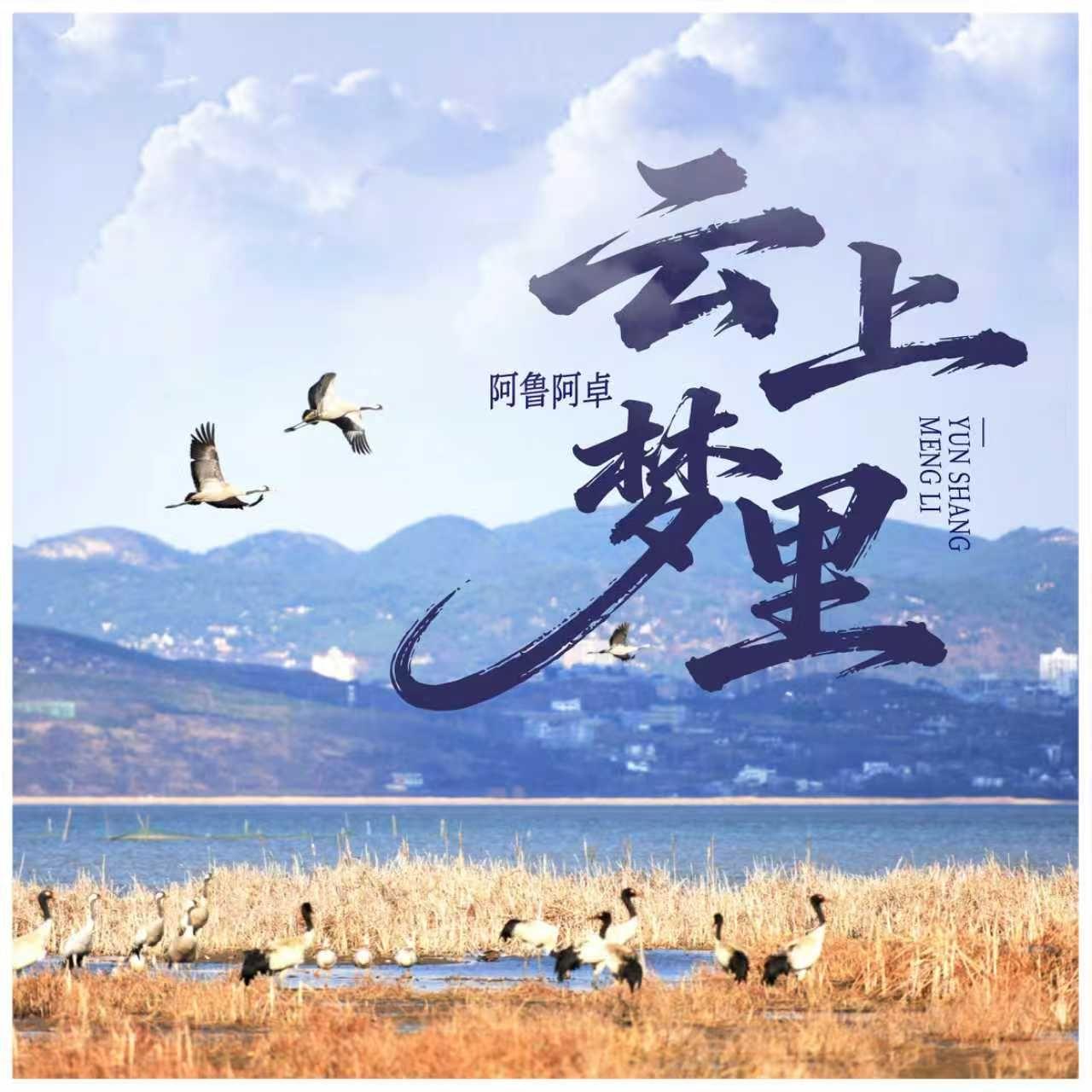 云上梦里
