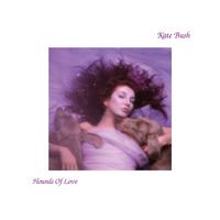 Kate Bush - Under Ice (BB Instrumental) 无和声伴奏