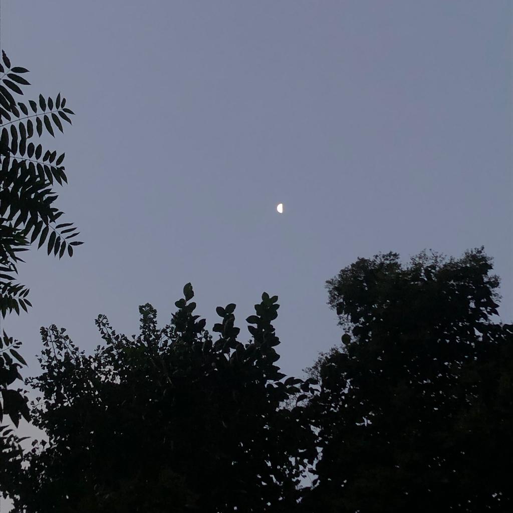 水瓶座的听歌列表