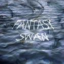 Fantasy Swan专辑