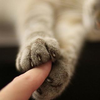 超级可爱风的小歌曲