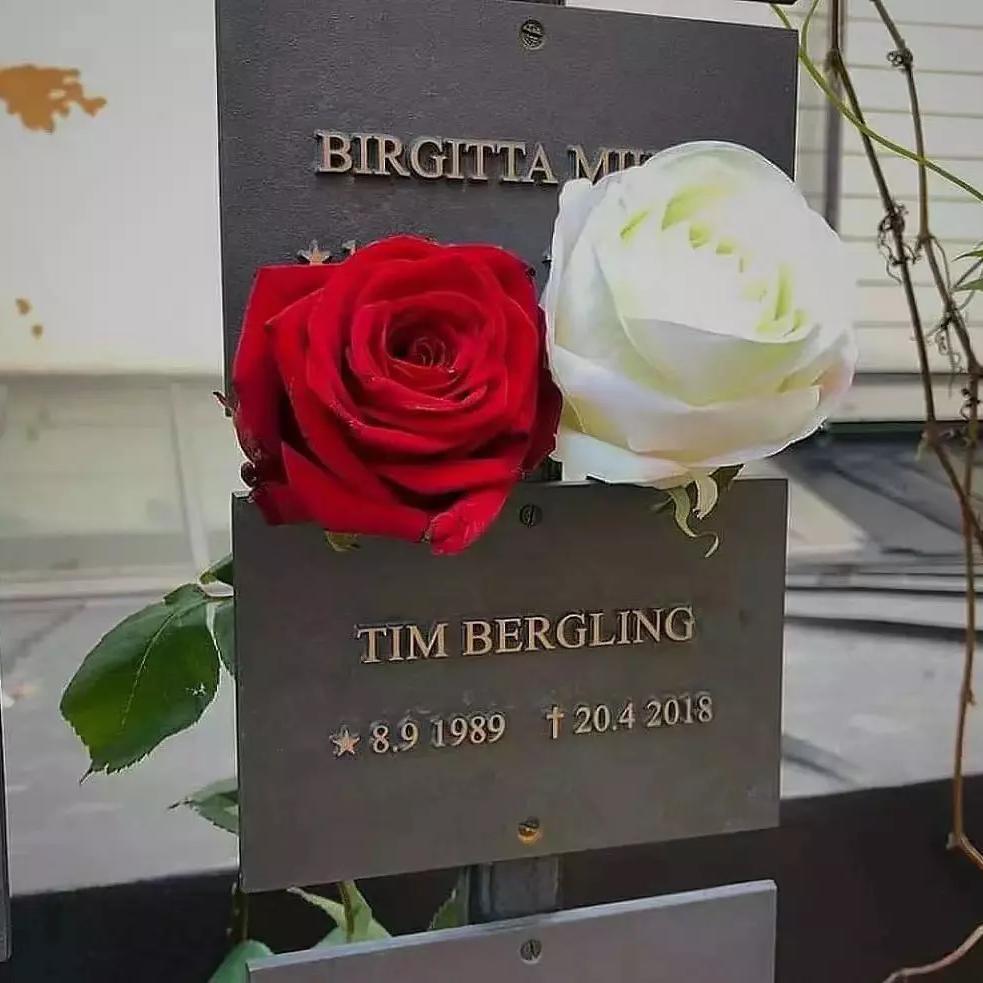 Tim Bergling2018-2022.4.20/P3