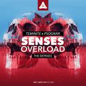 Senses Overload Remixes (Remixes)专辑