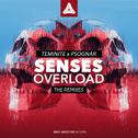 Senses Overload Remixes (Remixes)