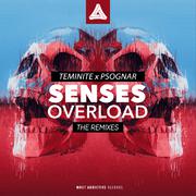 Senses Overload Remixes (Remixes)