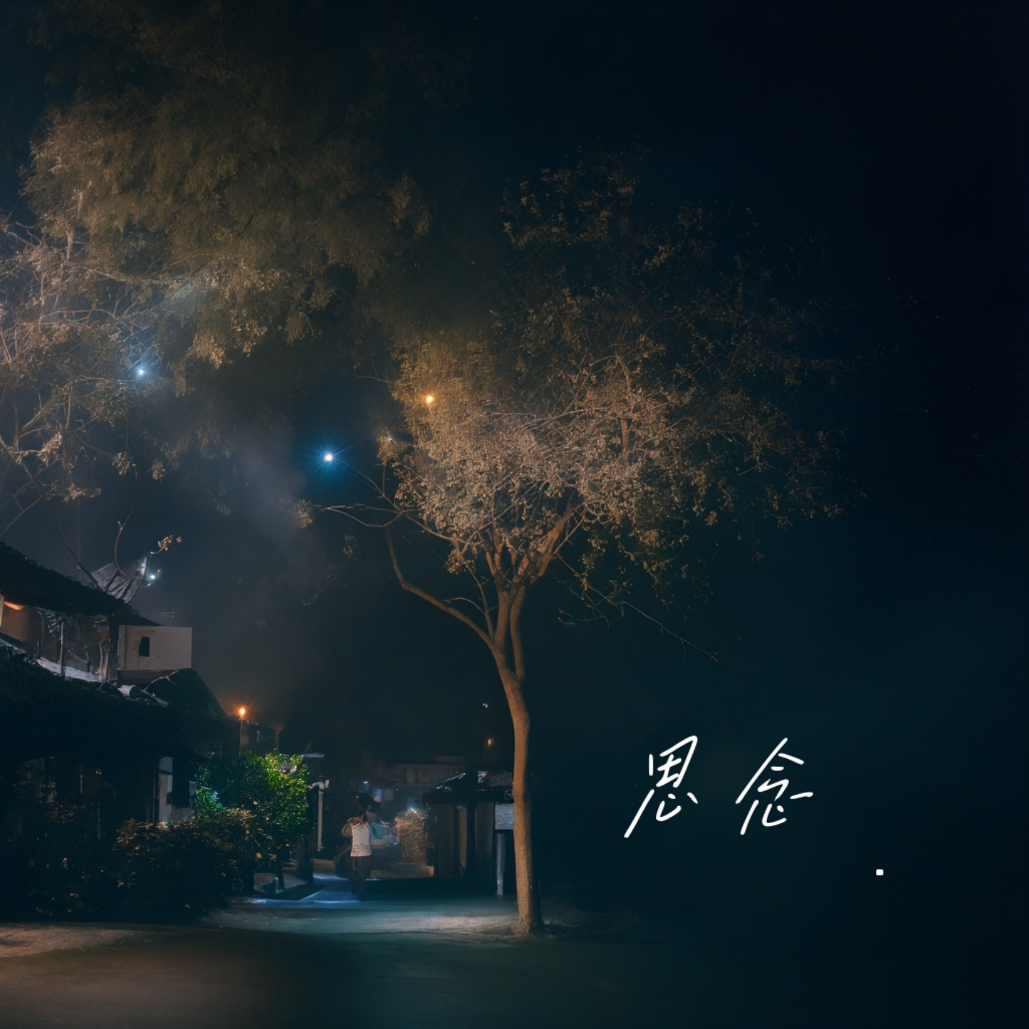 思念
