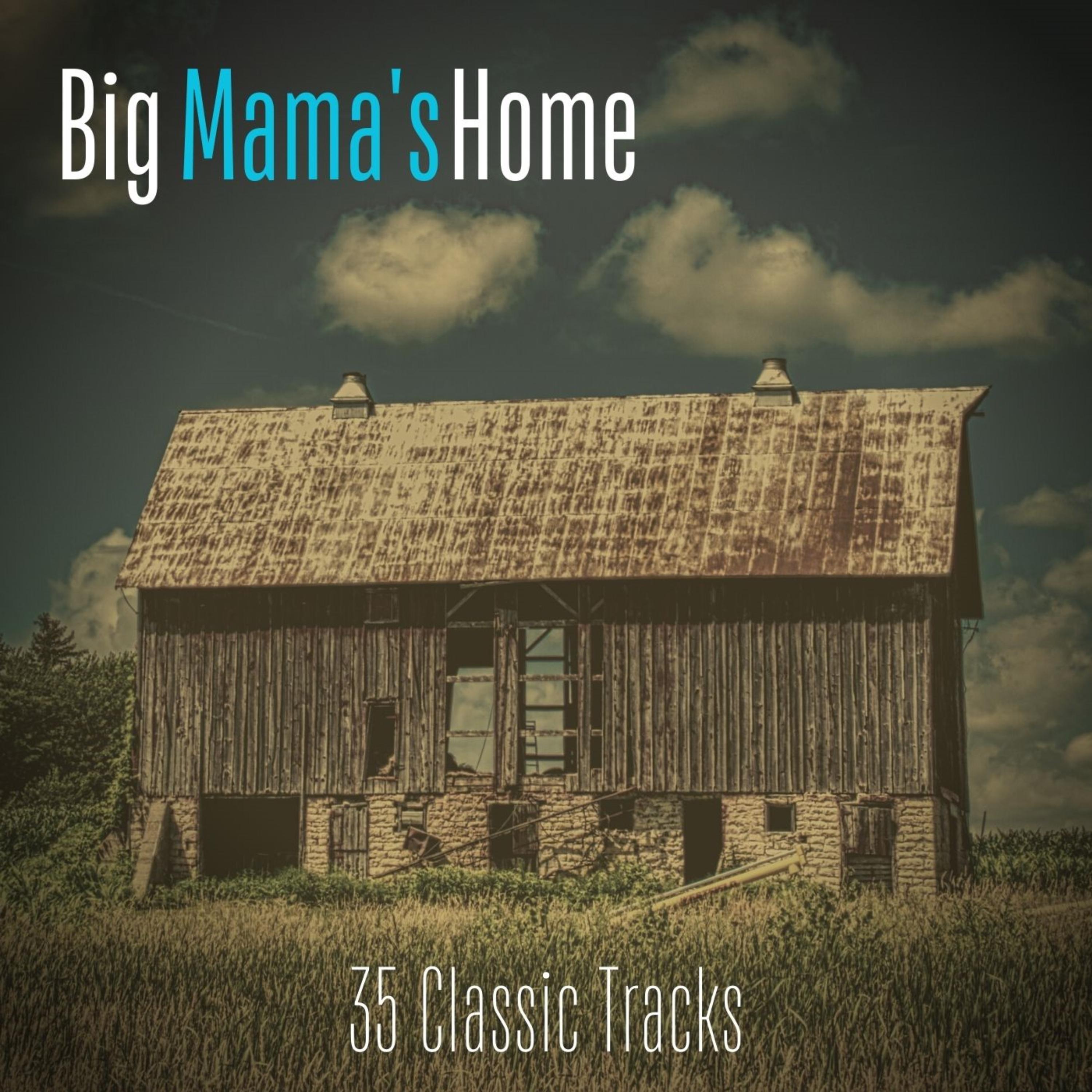 Big Mama Thornton - Rockabye Baby