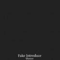 Fake Introduce专辑