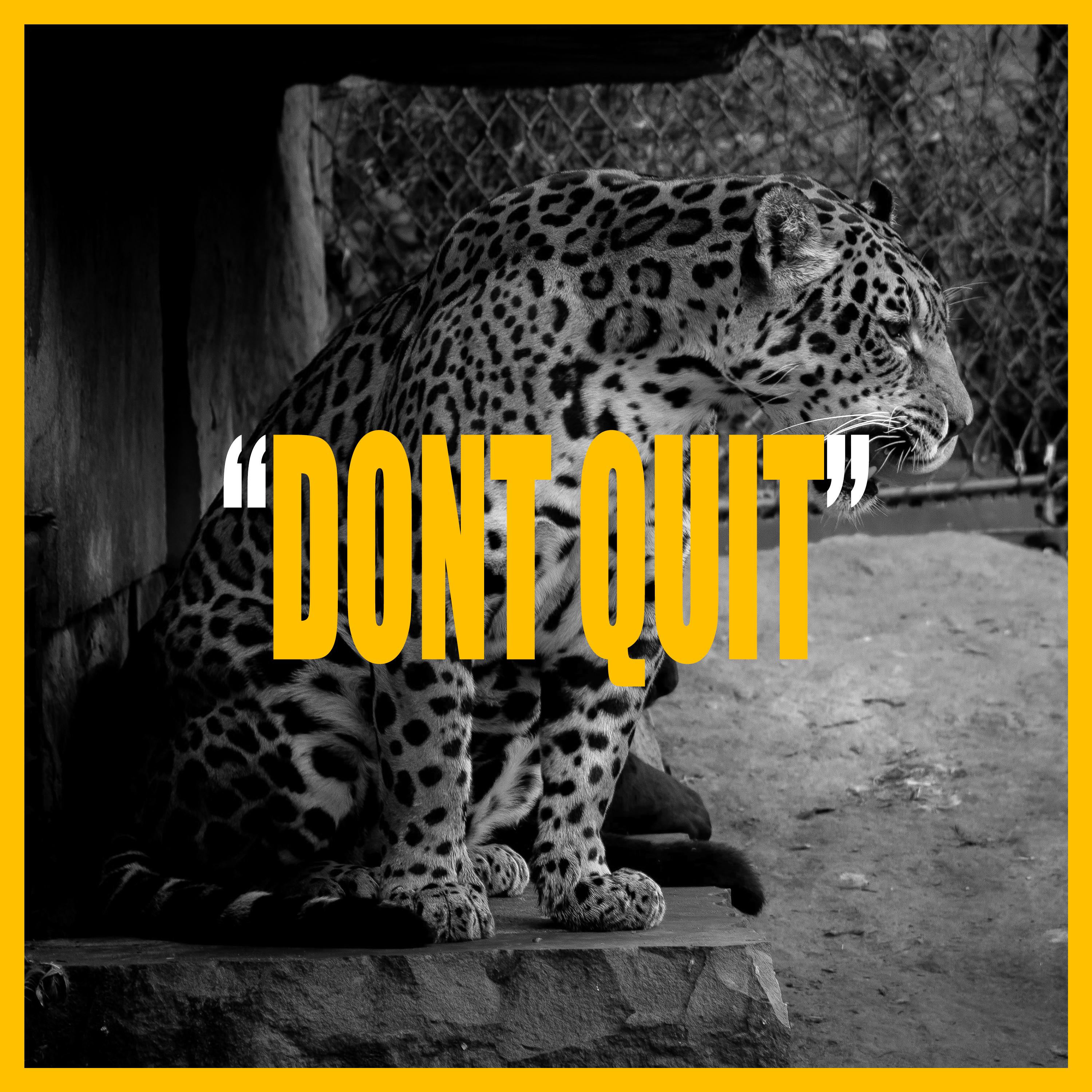 DONT QUIT