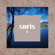 snris