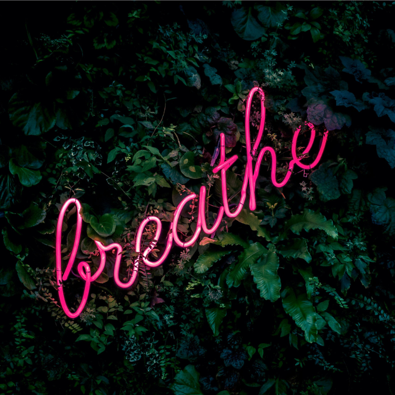 布礼芙Breathe歌曲封面