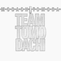 Team_Tomodachi_(VADUK_Remix)