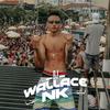 DJ Wallace NK - MEDLEY FINAL DE ANO