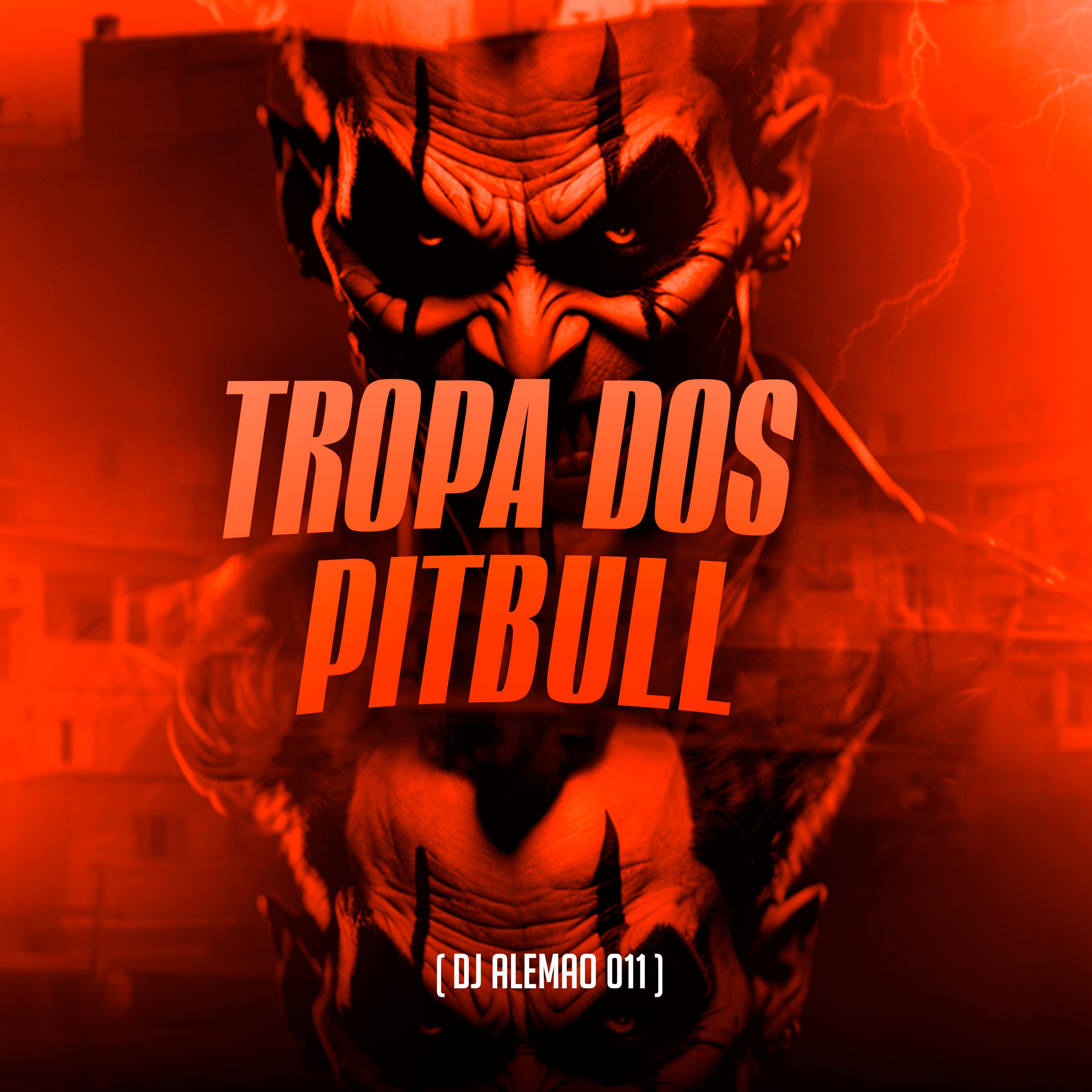 DJ Alemão 011 - Tropa dos Pitbull