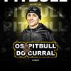 DJ VN 22 - Os Pitbull do Curral