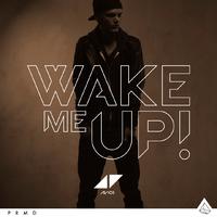 Aloe Blacc - Wake Me Up 原唱 SUNER伴奏