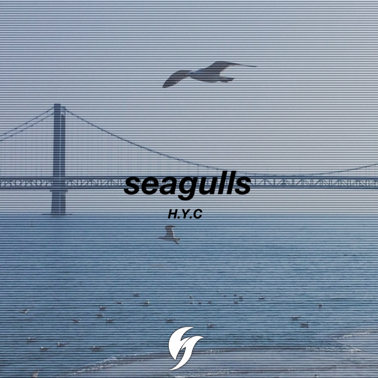 Seagulls专辑