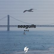 Seagulls