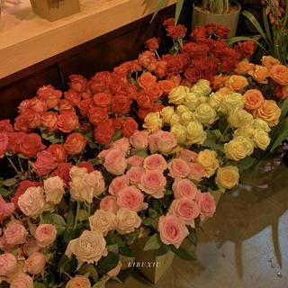花不贵，下次见面送你