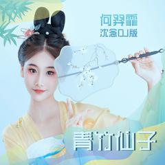 青竹仙子 (Dj沈念版伴奏)