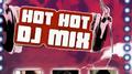 Hot Hot Dj Mixes专辑