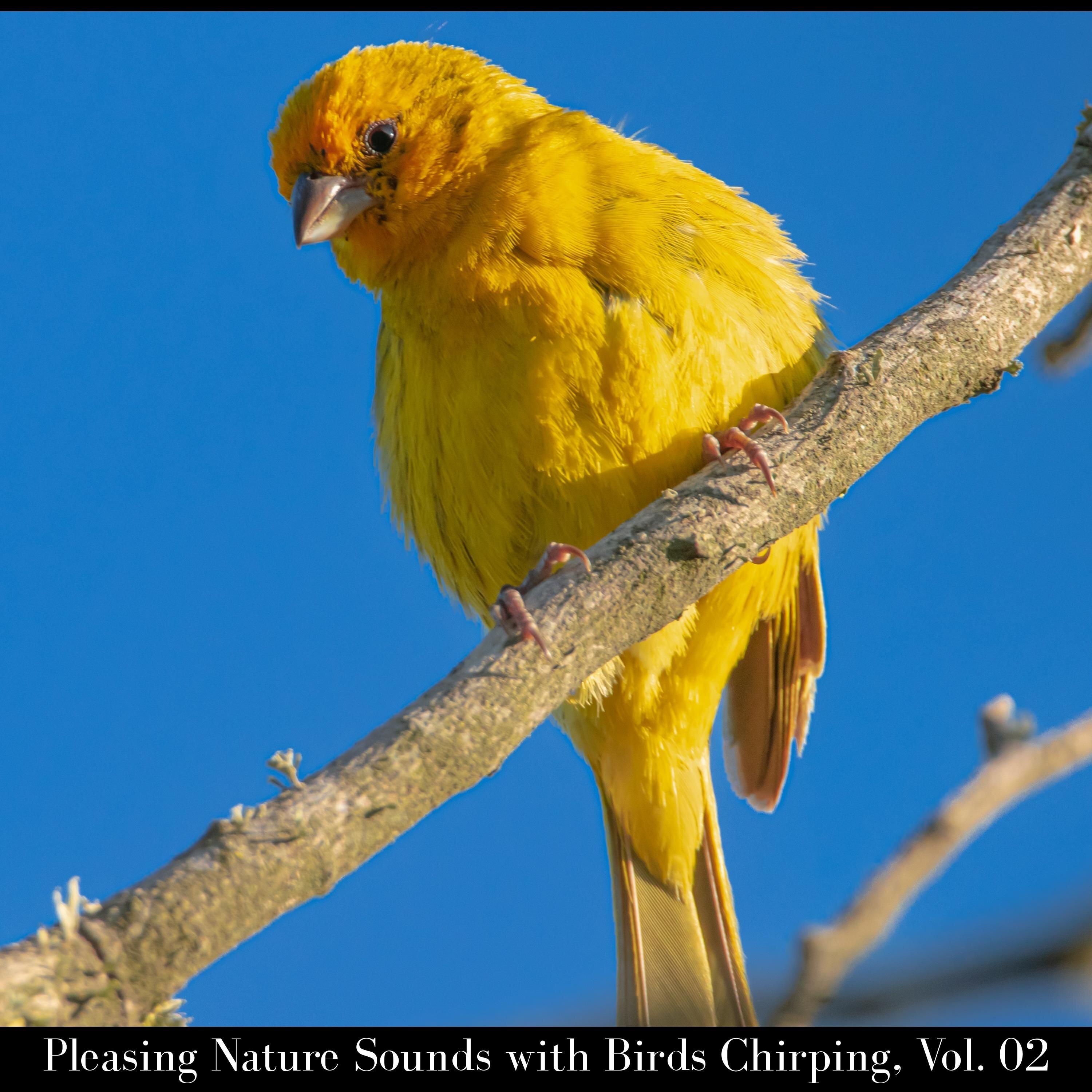 Torrential Light Rain
