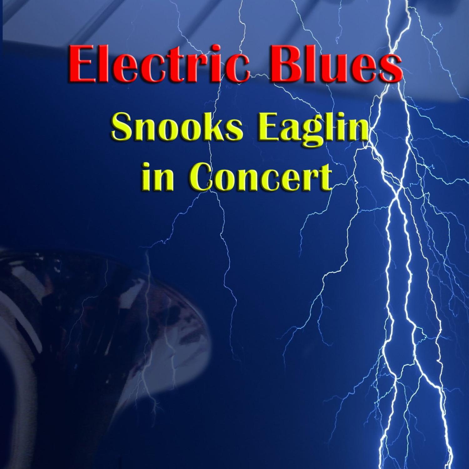 Snooks Eaglin in Concert