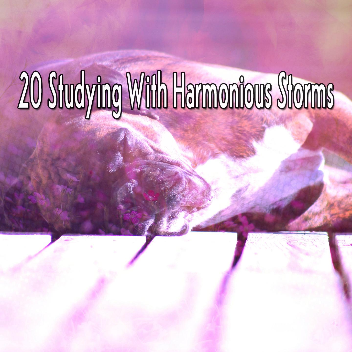 20 Studying With Harmonious Storms专辑