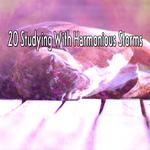 20 Studying With Harmonious Storms专辑