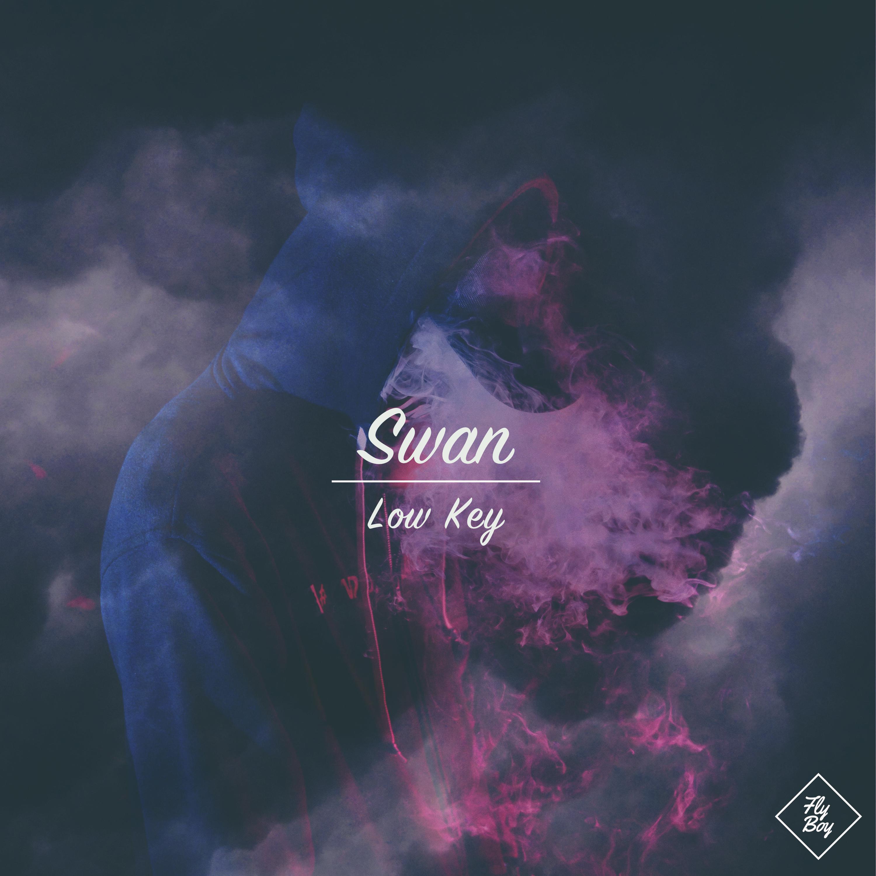 Swan - Low Key (Original Mix)