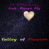 Cj Stereogun - Valley of Flowers (Original Mix)