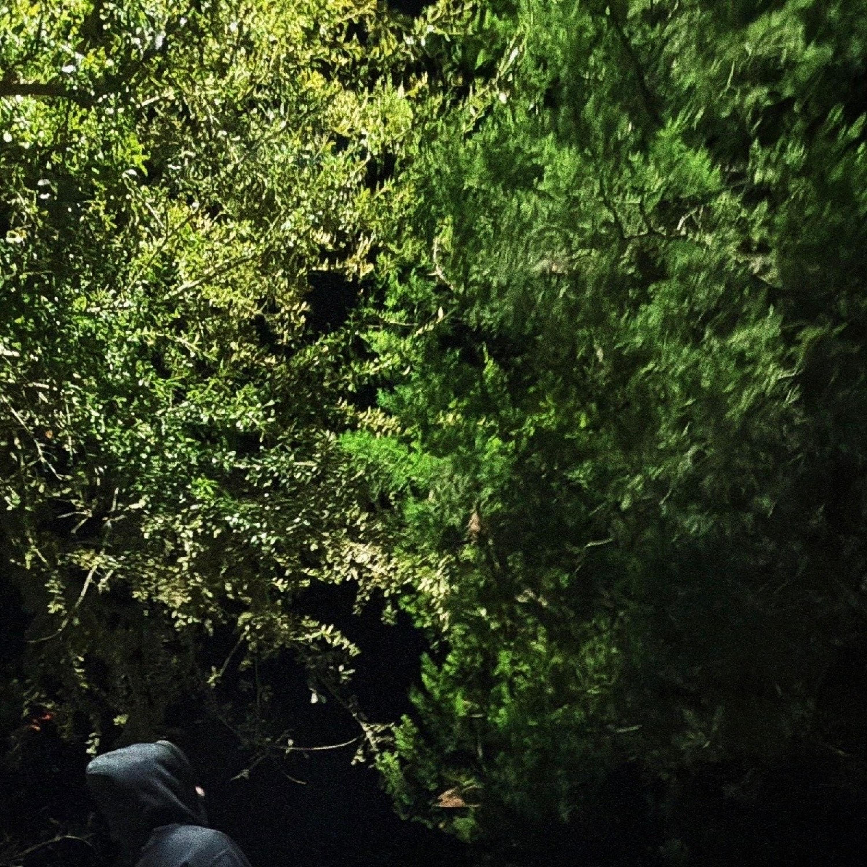 WHERE DID MY FRIENDS GO?